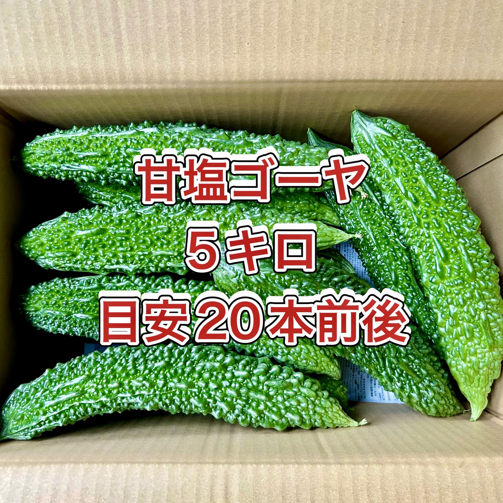 鹿児島産】甘塩ゴーヤ箱込み5キロ^_^ ｜ 野菜/ゴーヤ 産直アウル 農家