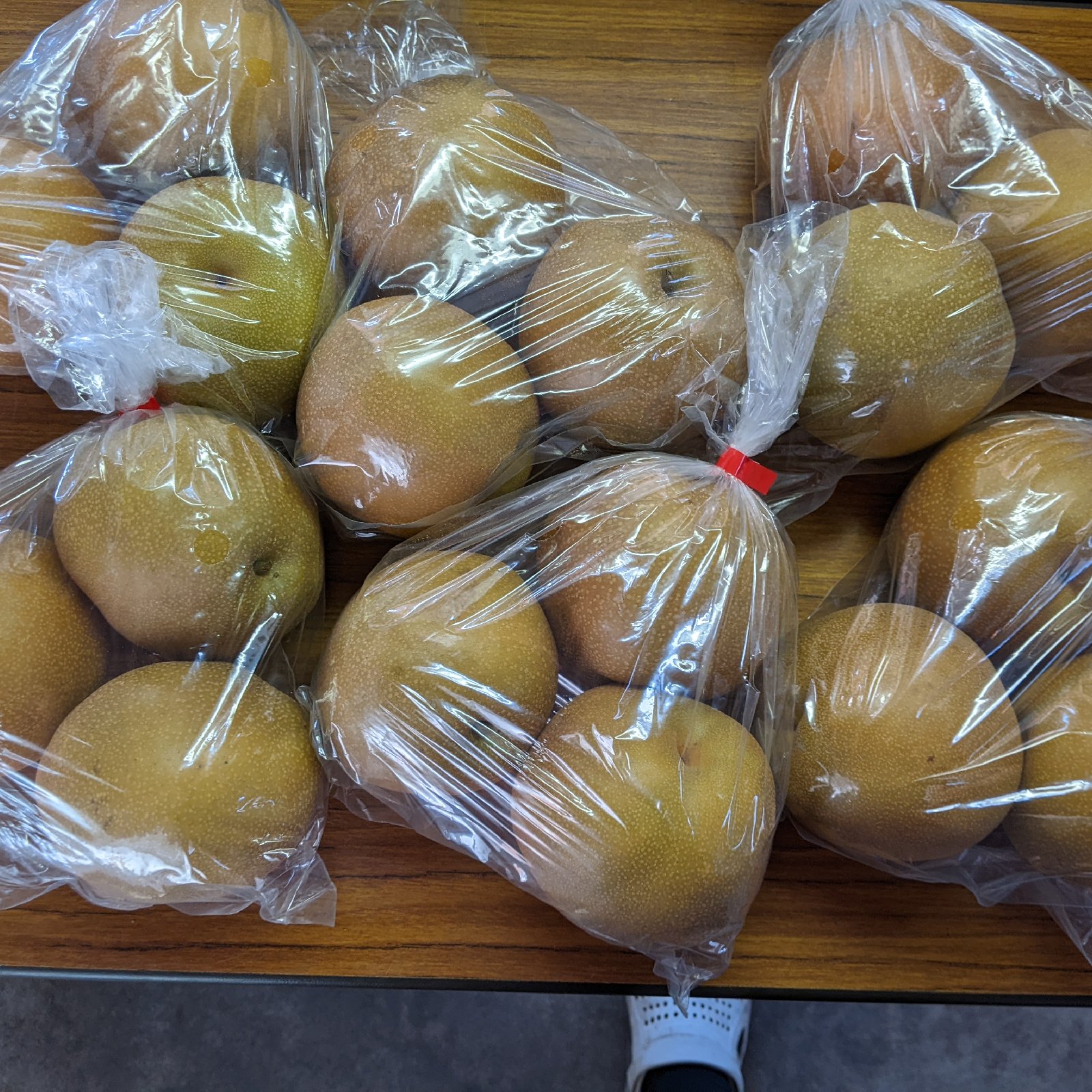 梨5Lサイズ18個入り ｜ 果物/梨 産直アウル 農家・漁師など生産者から