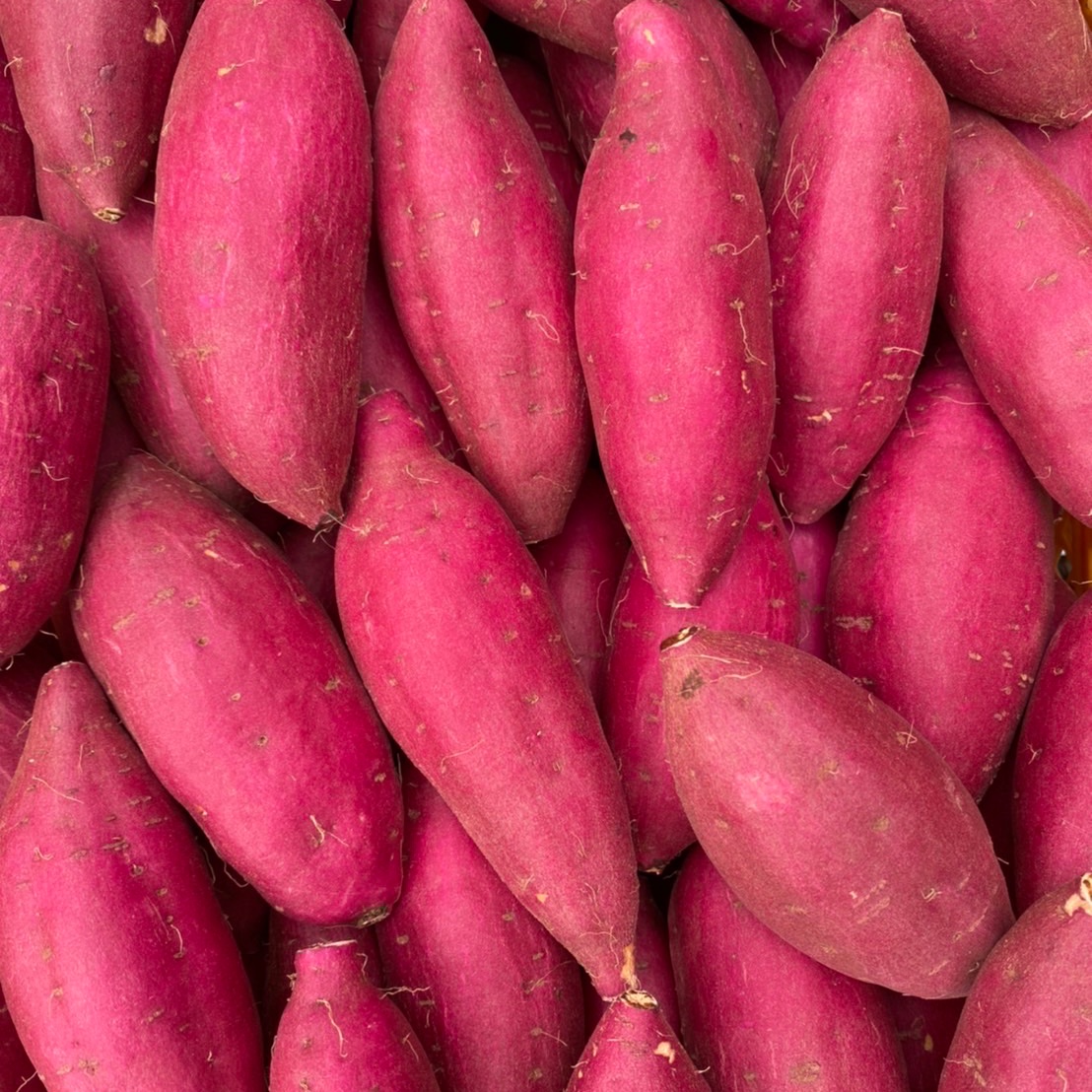 紅あずま S•3kg】千葉県成田市産 さつまいも 紅あずま Sサイズ 3kg