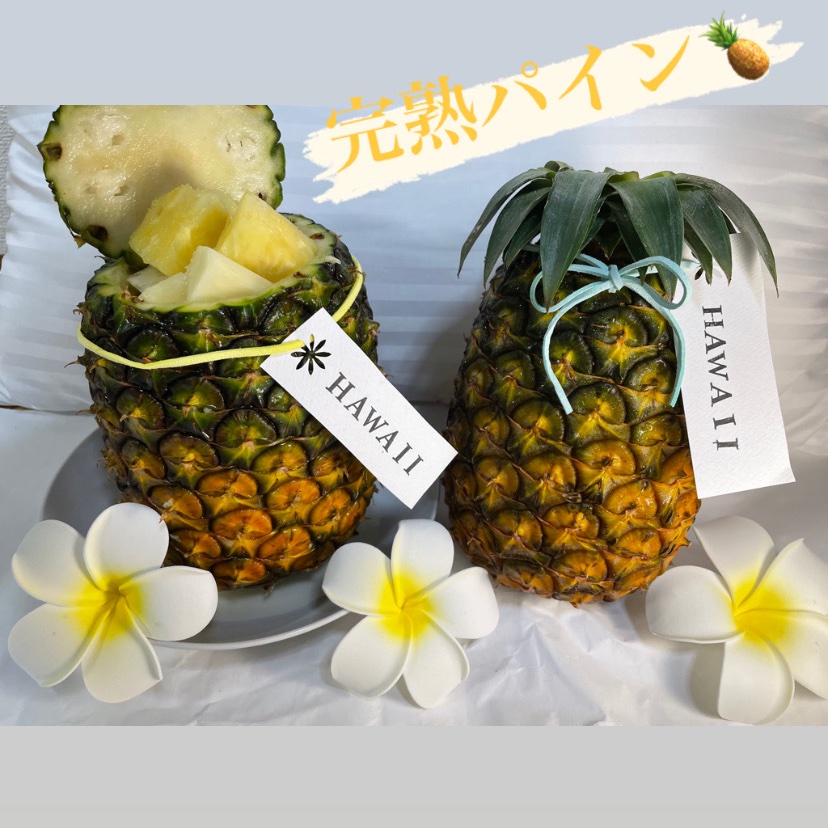 JGAP認証】石垣島産ジュワリーパイン 2玉（ハワイ種） ｜ 果物