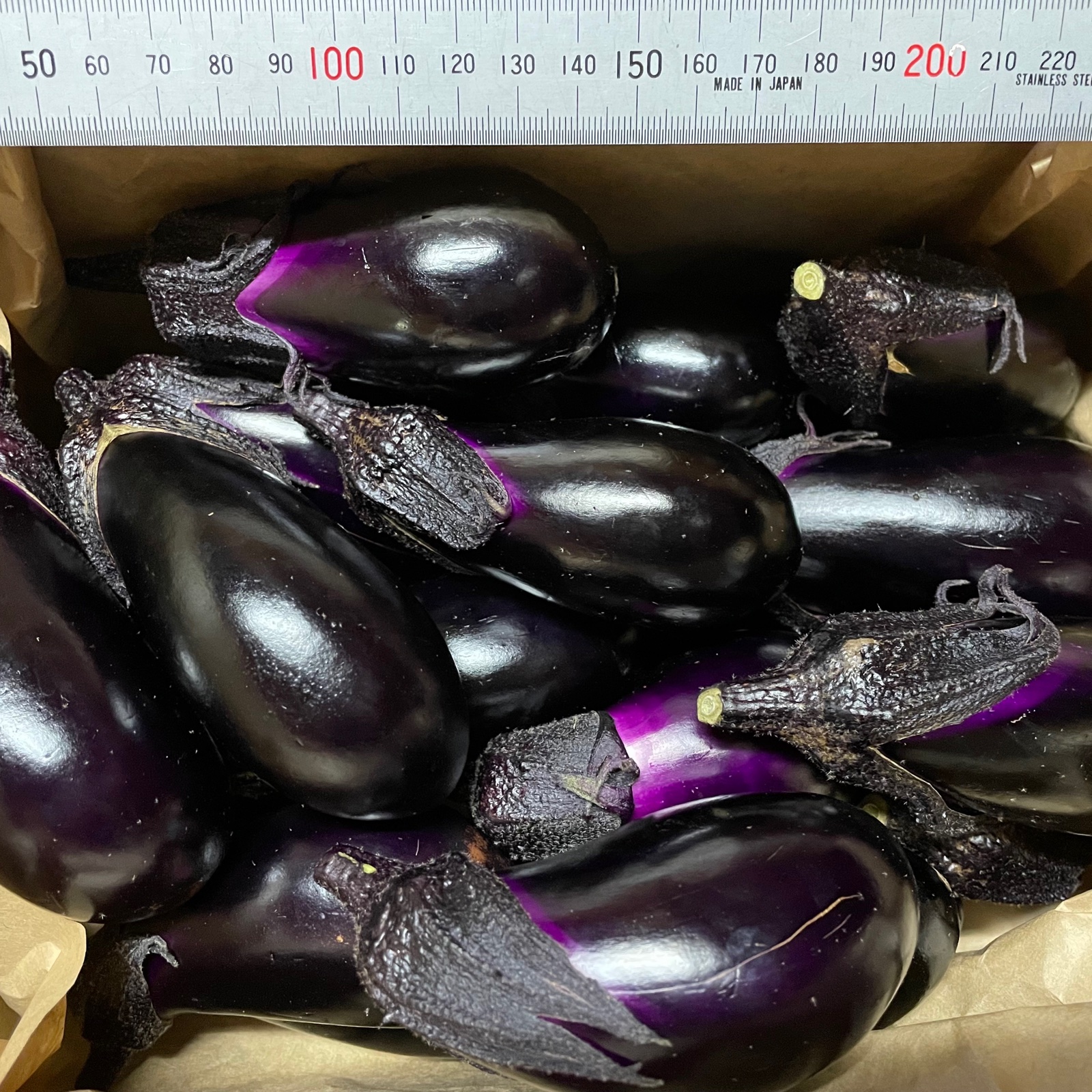 自然栽培・固定種】真黒なす(1kg) | 野菜/茄子 産直アウル 農家から