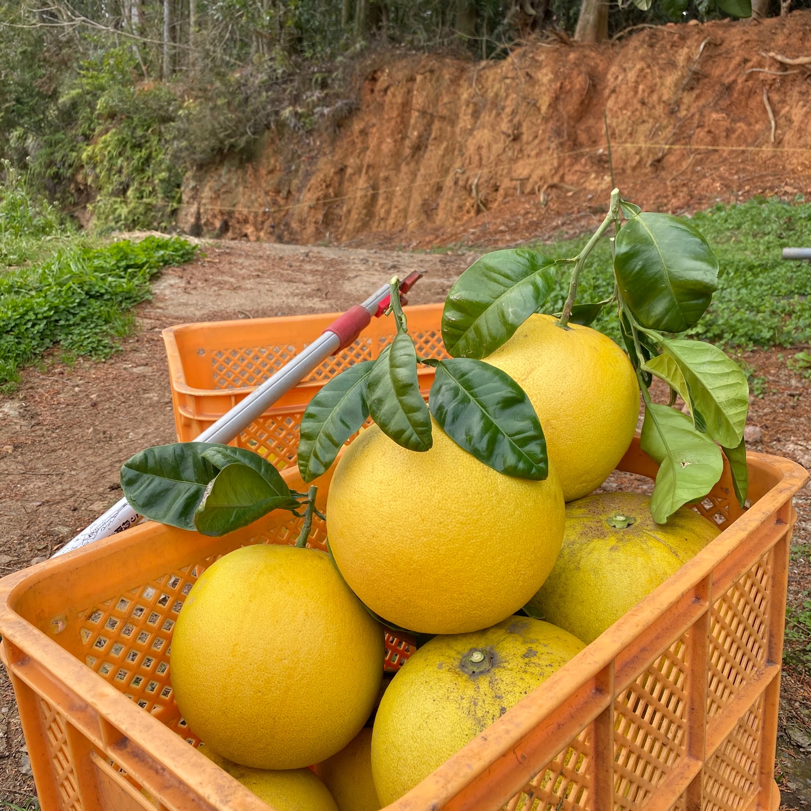 31ccbc7f63bf61578bc4db246ac5d9