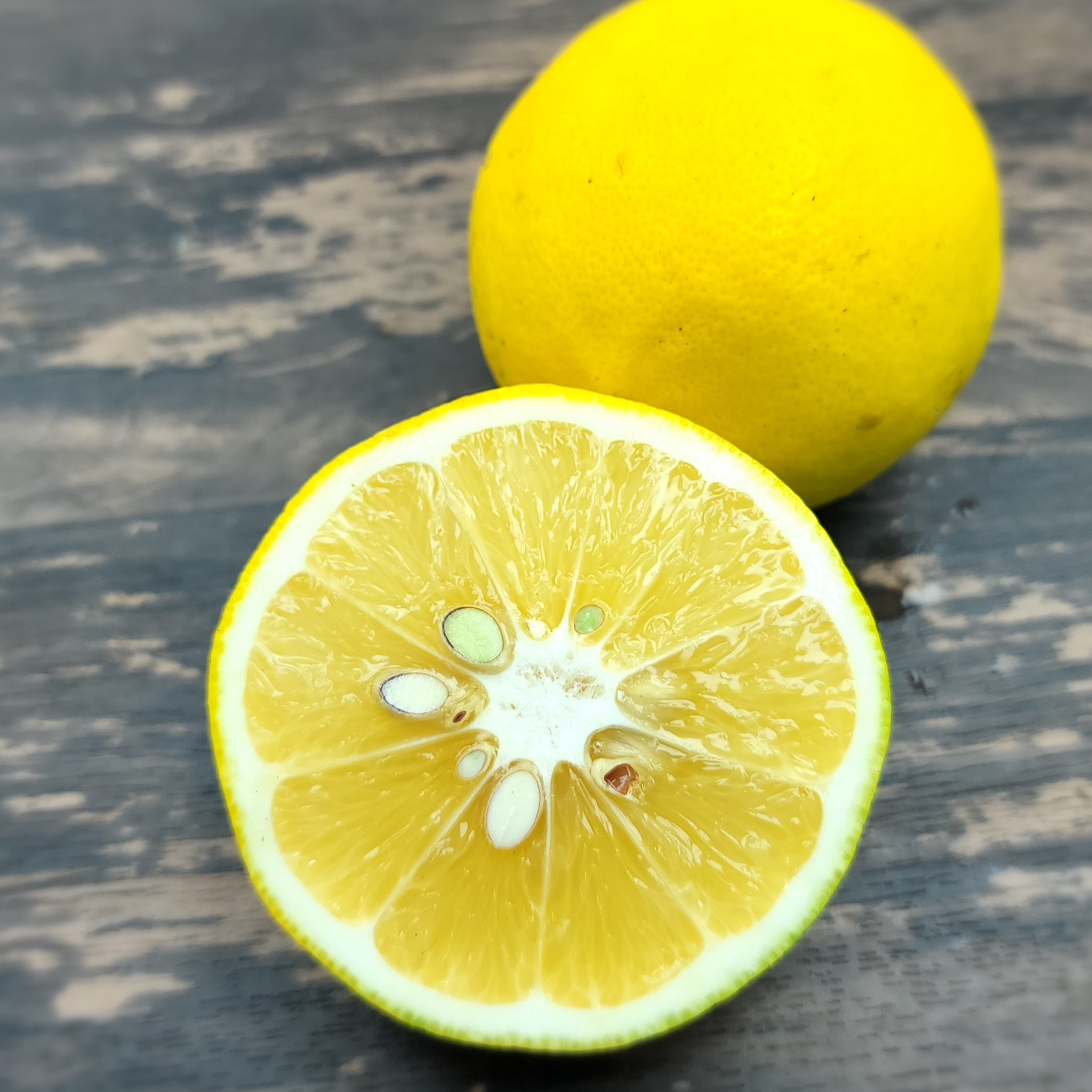 箱込約2㌔ 皮までおいしいレモン | 果物/香酸柑橘(ライム・レモン等