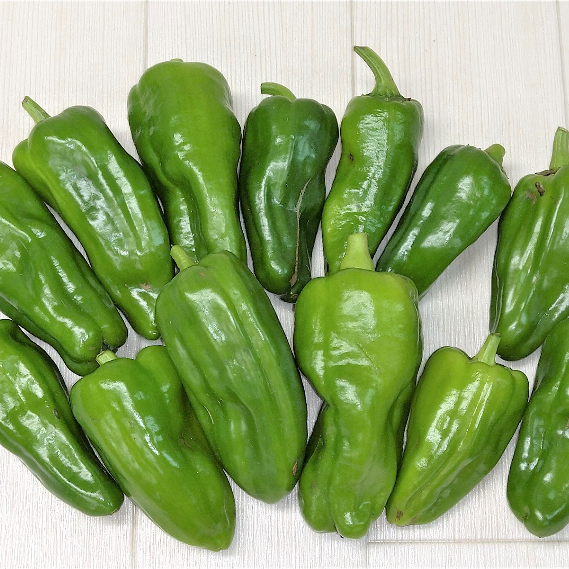 ピーマン 農薬不使用（無農薬）栽培 | 野菜/ピーマン 産直アウル 農家