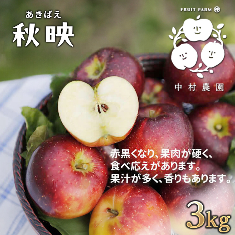けいこ様専用 6/26 収穫分の紅映 B優品～良品5kg+新平太夫3KG 福井梅