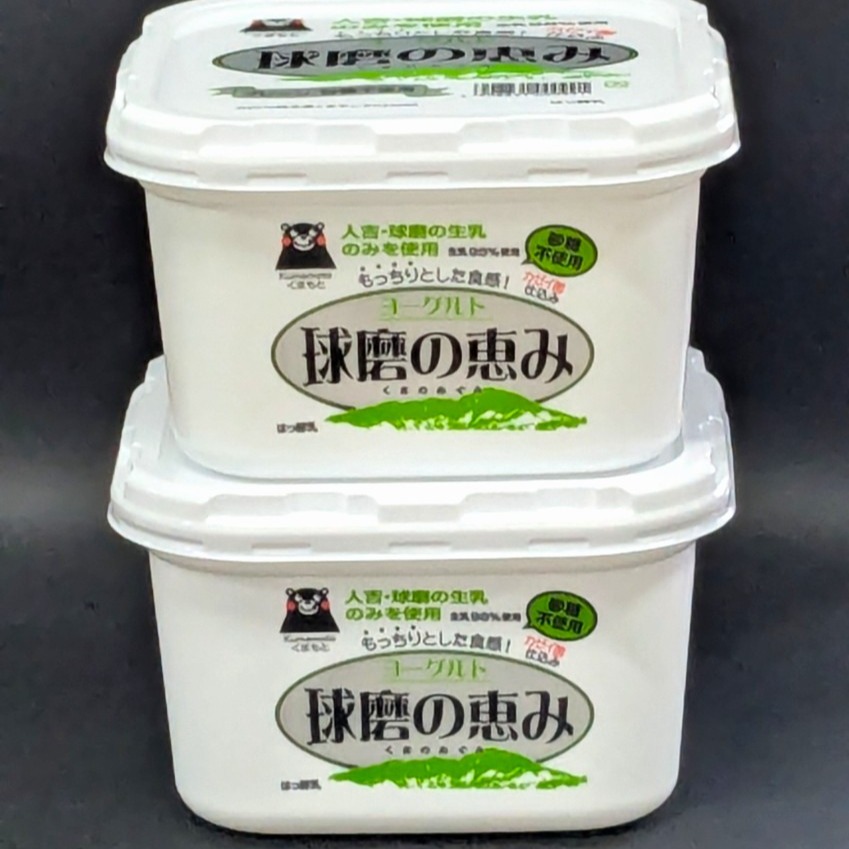 球磨の恵みヨーグルト（砂糖不使用）2Kg | 乳製品/その他乳製品 産直