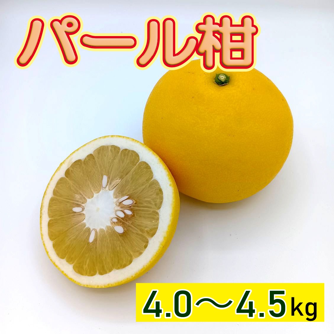 ビッグで上品な甘み！『パール柑』【わけあり 4.0～4.5kg】 | 果物