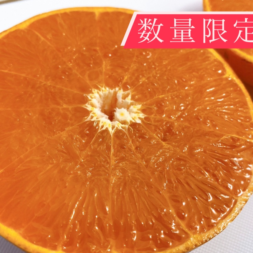 せとみ&夢ほっぺ2L.L.M.53個入 まるこ様.専用ページ予約中(現物写メ)