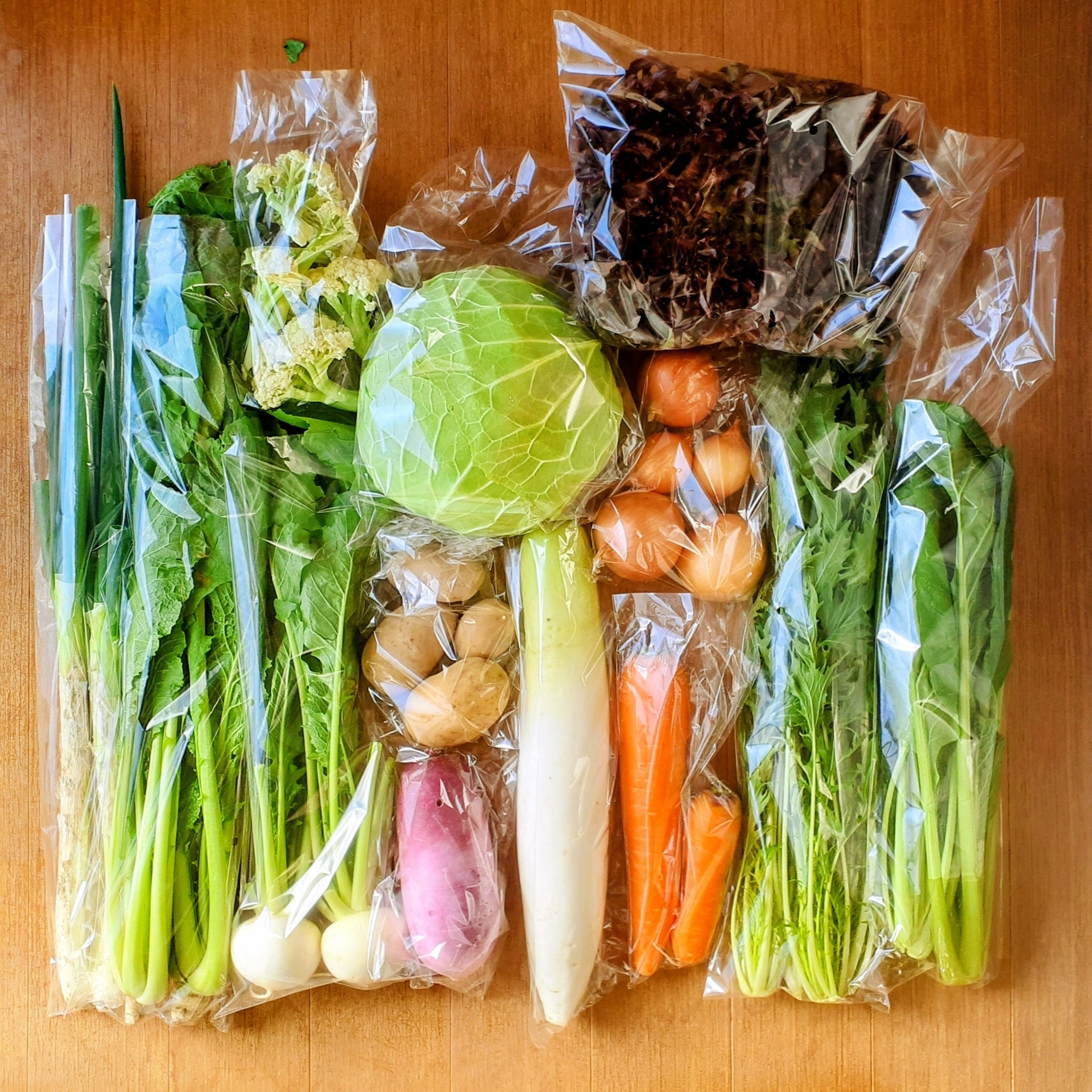 四菜盆セット✖️4セット miniサイズ 6品目『信州四賀より里山の旬野菜セット』 【お試しにも