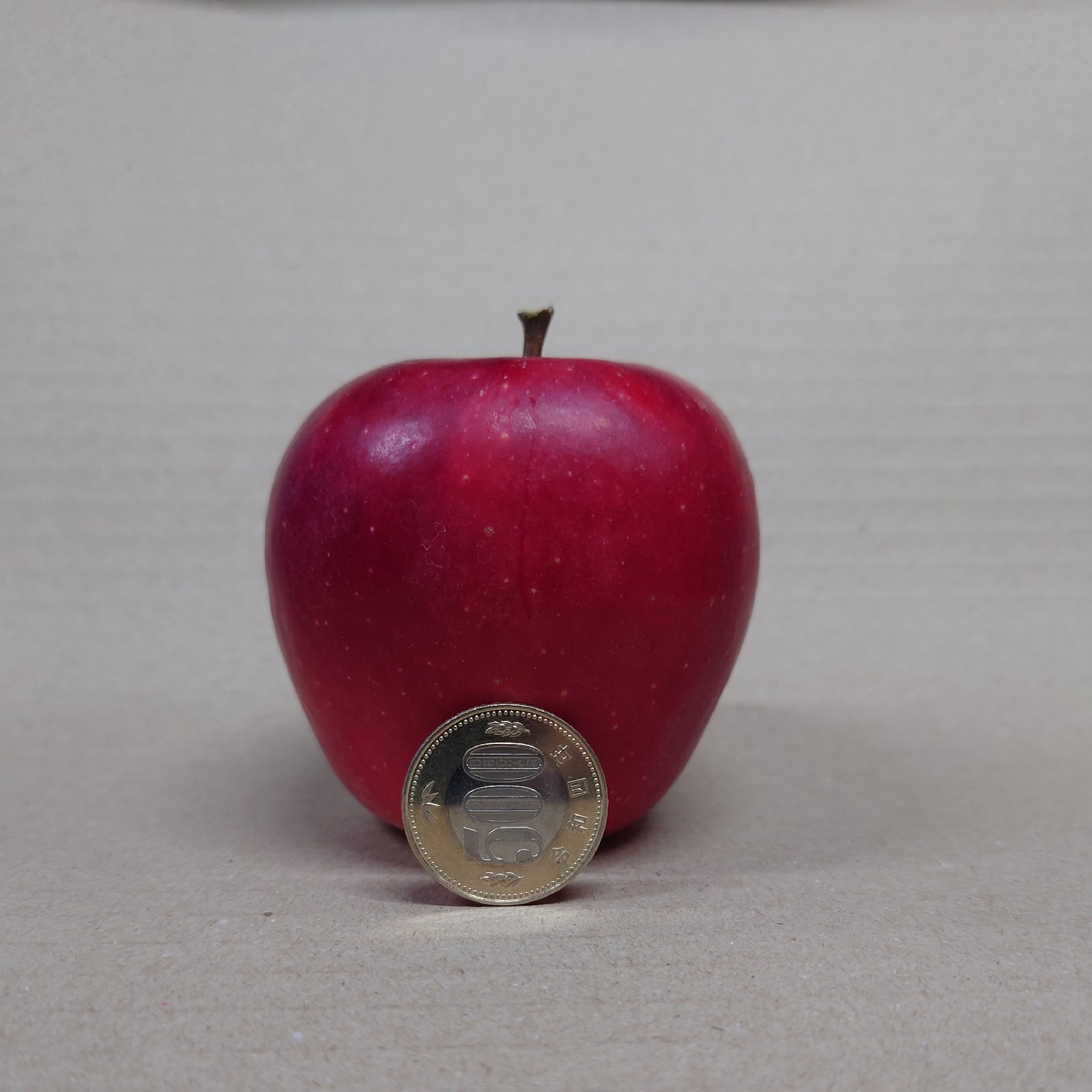 長野県 五輪久保産 シナノピッコロ 5kg25玉 | 果物/りんご 産直アウル