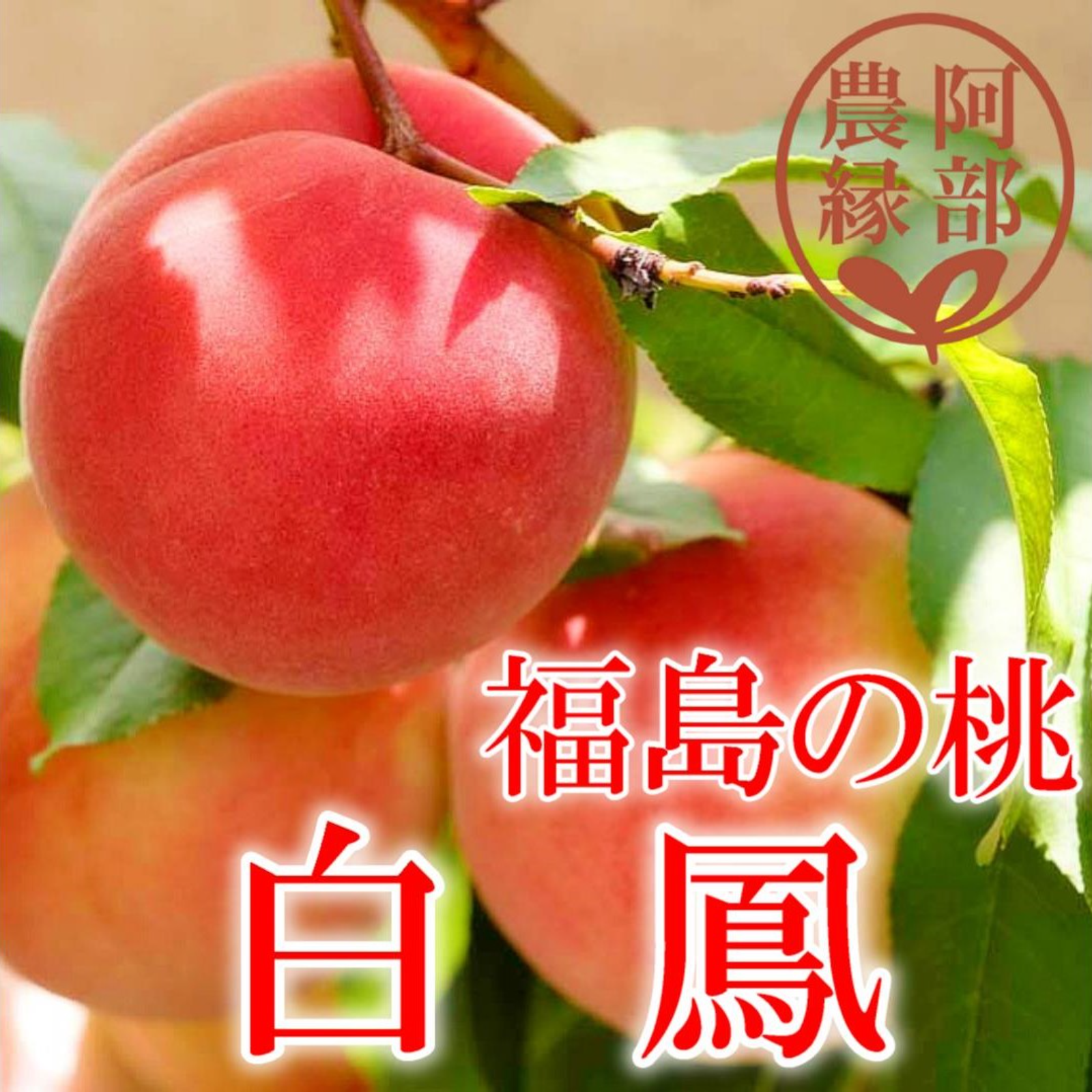 42 (白鳳) 家庭用 訳あり桃 2kg箱
