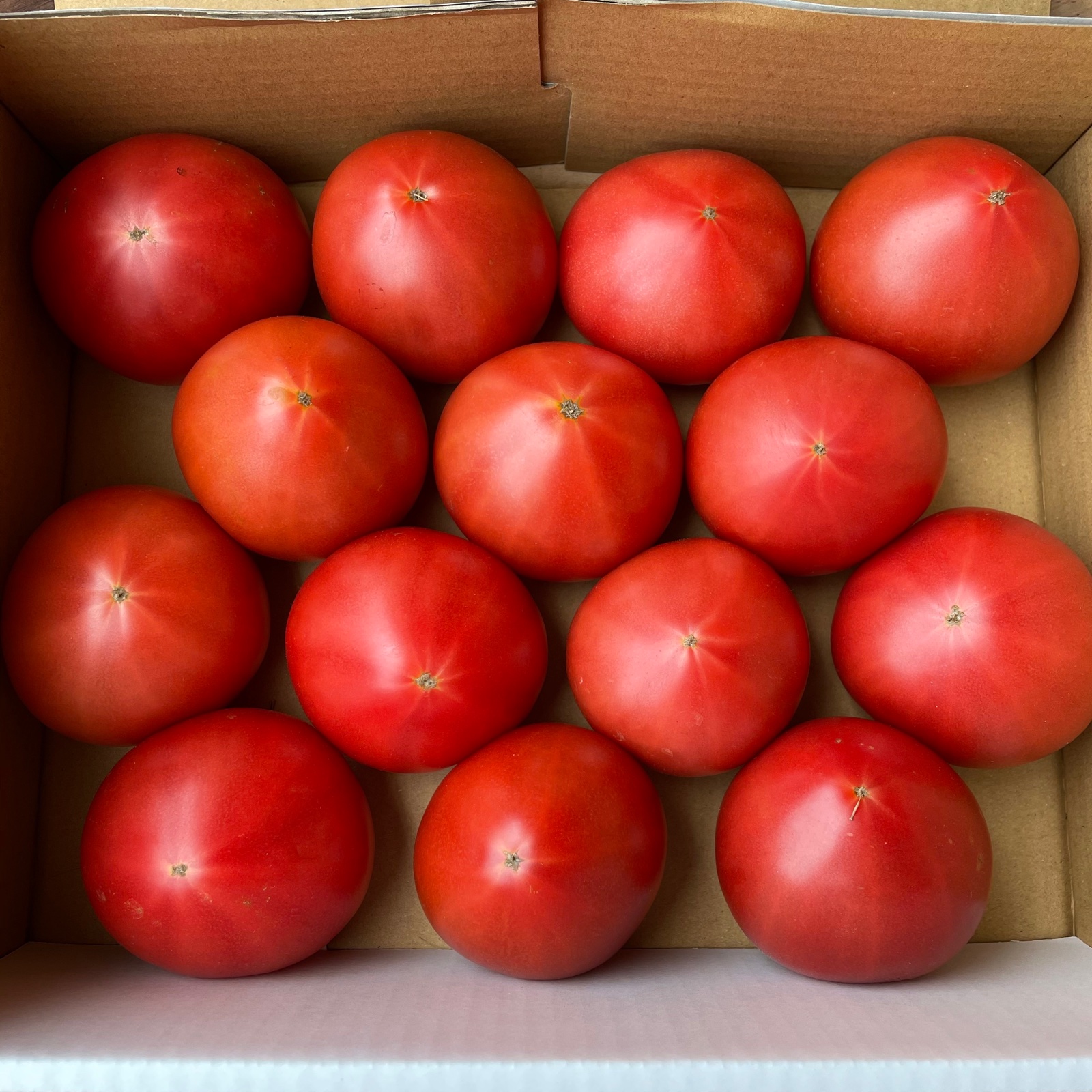 赤熟もぎり！水耕栽培の王様トマト S玉14個 2キロ箱満杯 | 野菜/トマト
