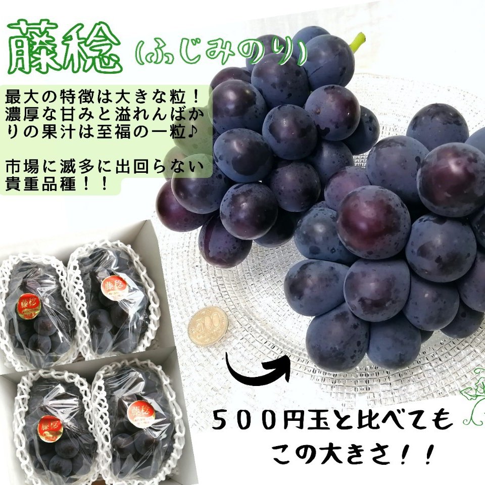 【minmin*】藤稔の粒　箱込1kg弱 330f3445a9437f4f020c6dc869b01f