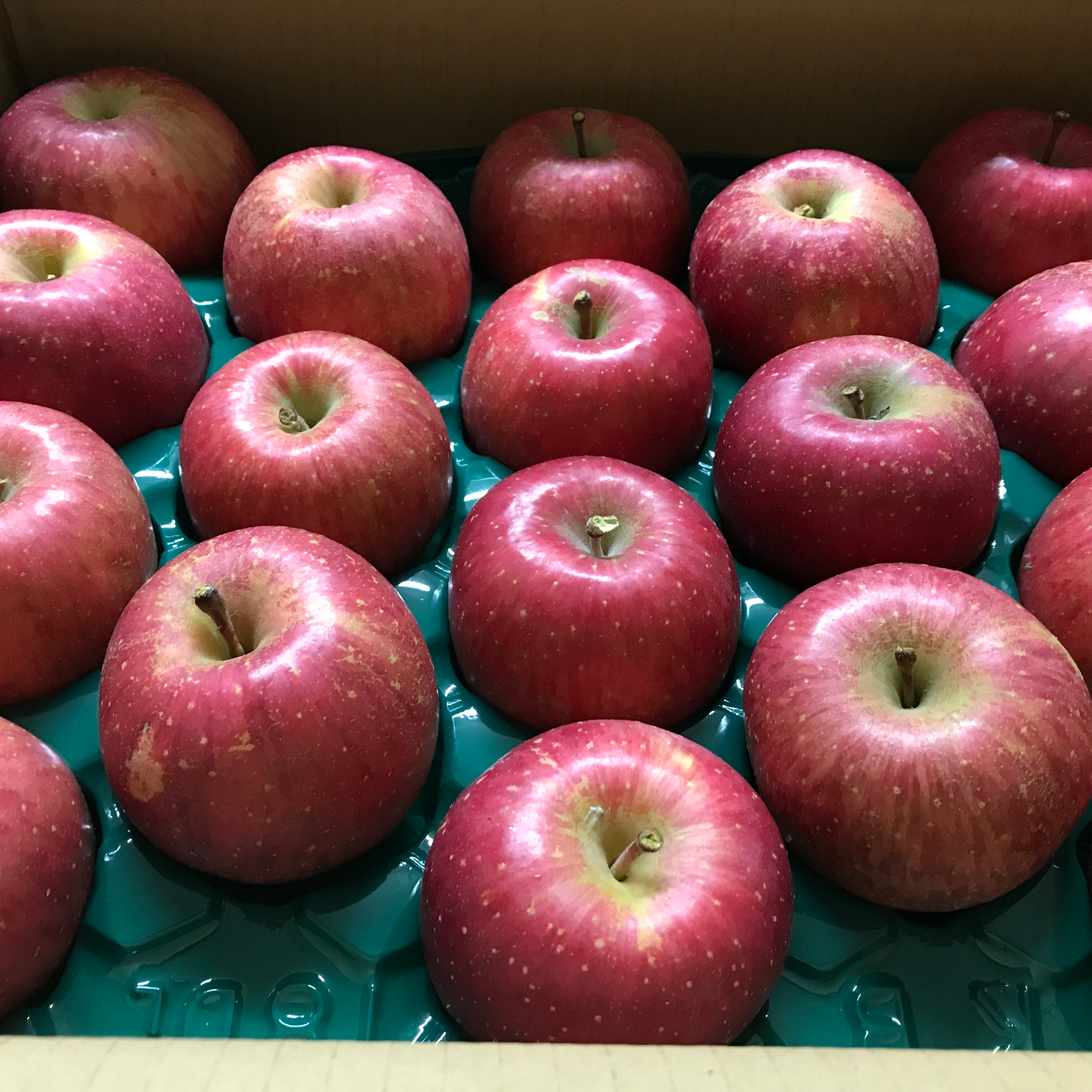 人気商品】青森県産りんご「サンふじ」家庭用 約5kg 【光センサ選果済