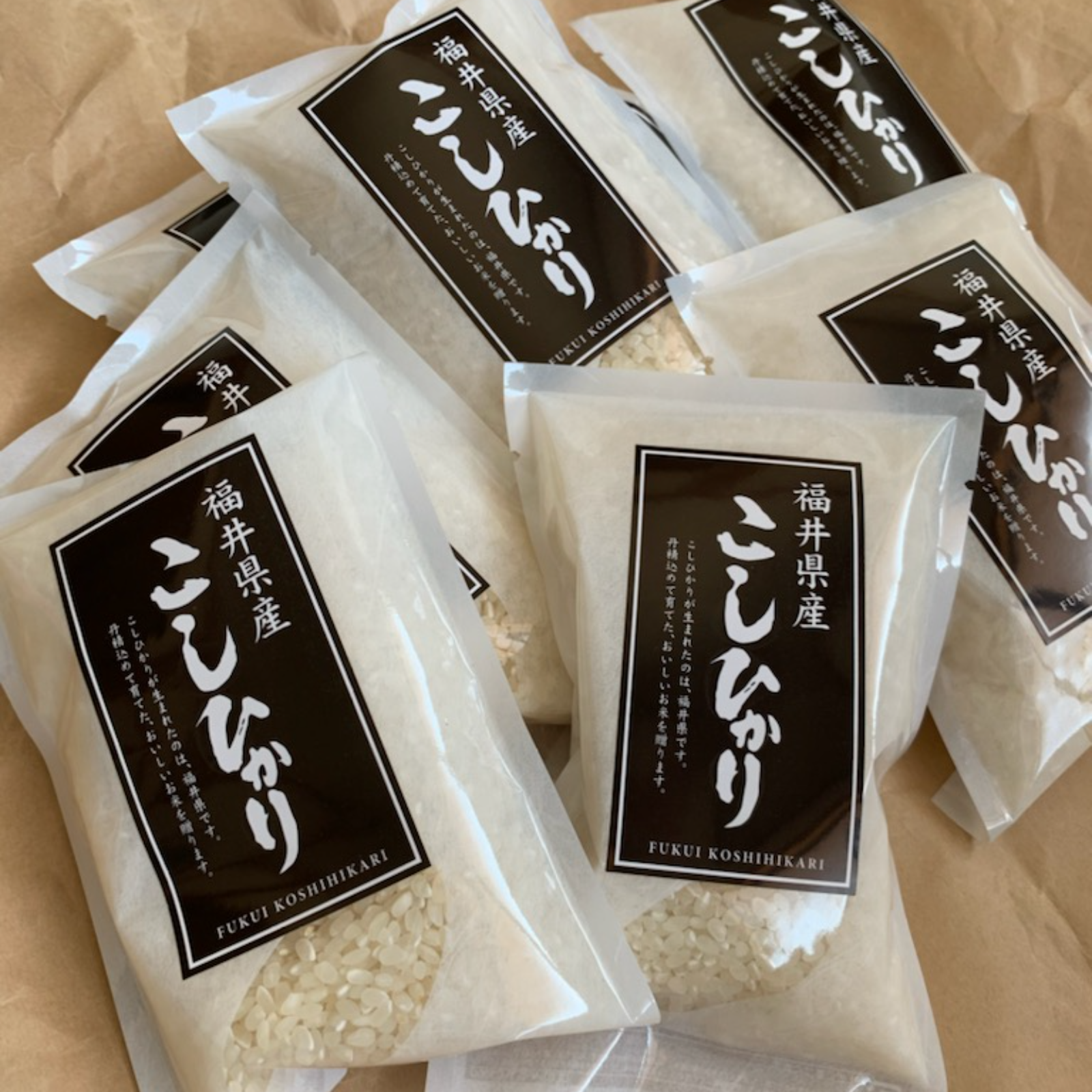 新米令和7年産 福井県産こしひかり1合パック×10 ｜ 米・穀物/米