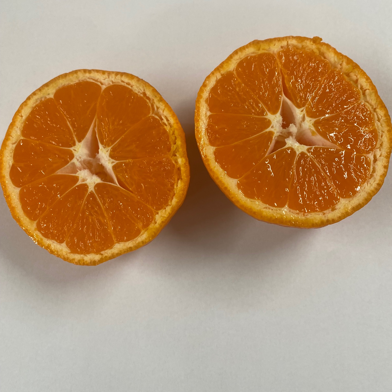 丹生系温州みかん箱込み10kg混合 ｜ 果物/温州みかん 産直アウル 農家