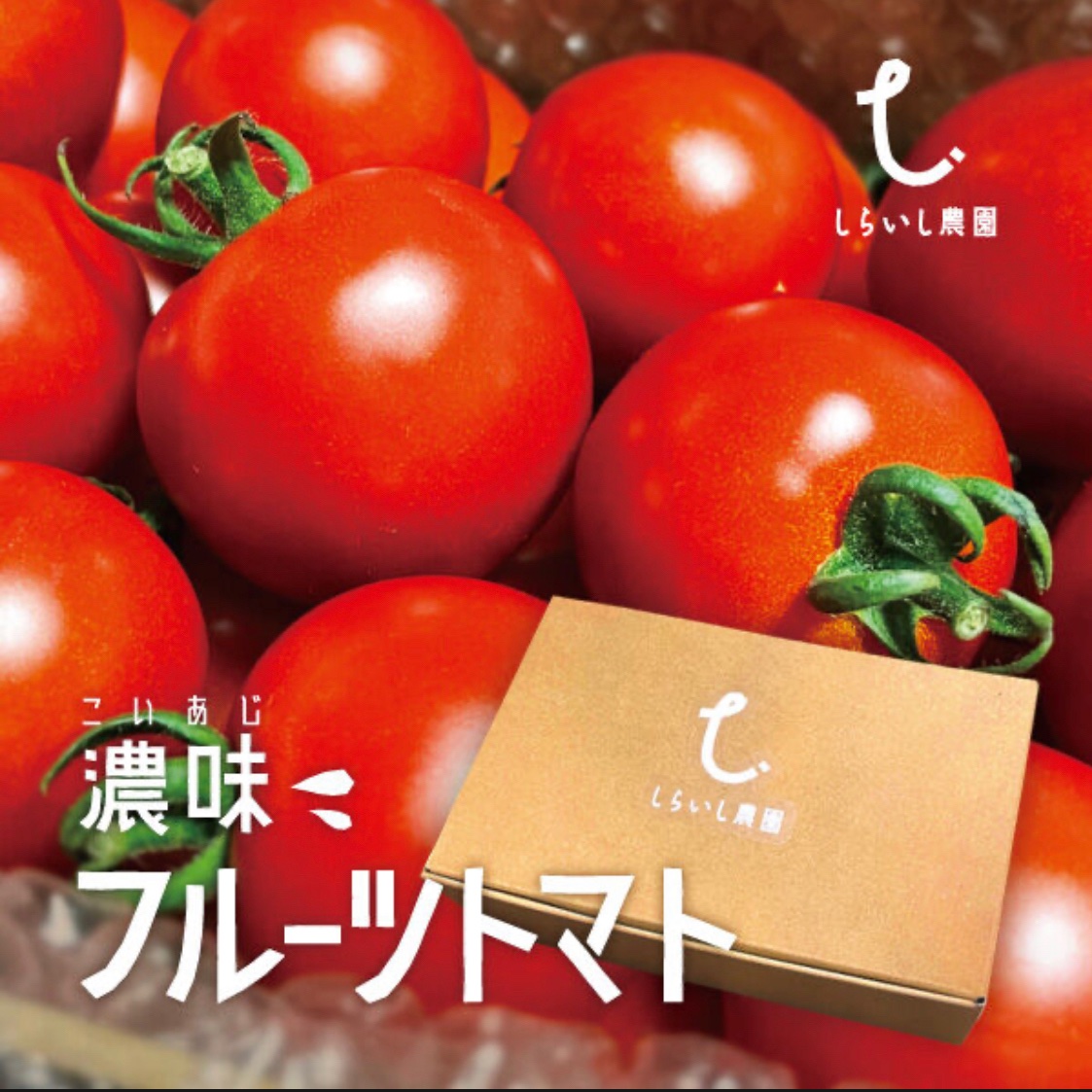 濃味(こいあじ)フルーツトマト2kg(1kg×2箱セット)美味しいミディ