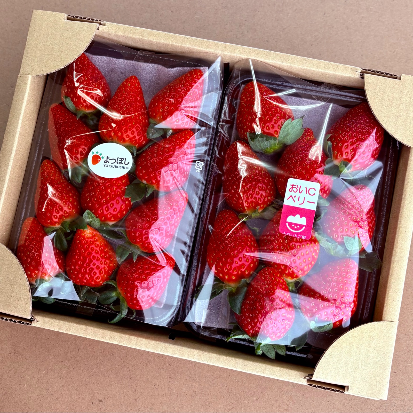 山口いちご園（群馬県・沼田市）｜生産者詳細｜産直アウル