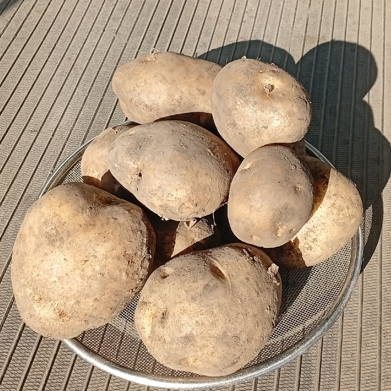 新じゃが】男爵いも8kg(M～2Lサイズ混合) ｜ 野菜/じゃがいも 産直
