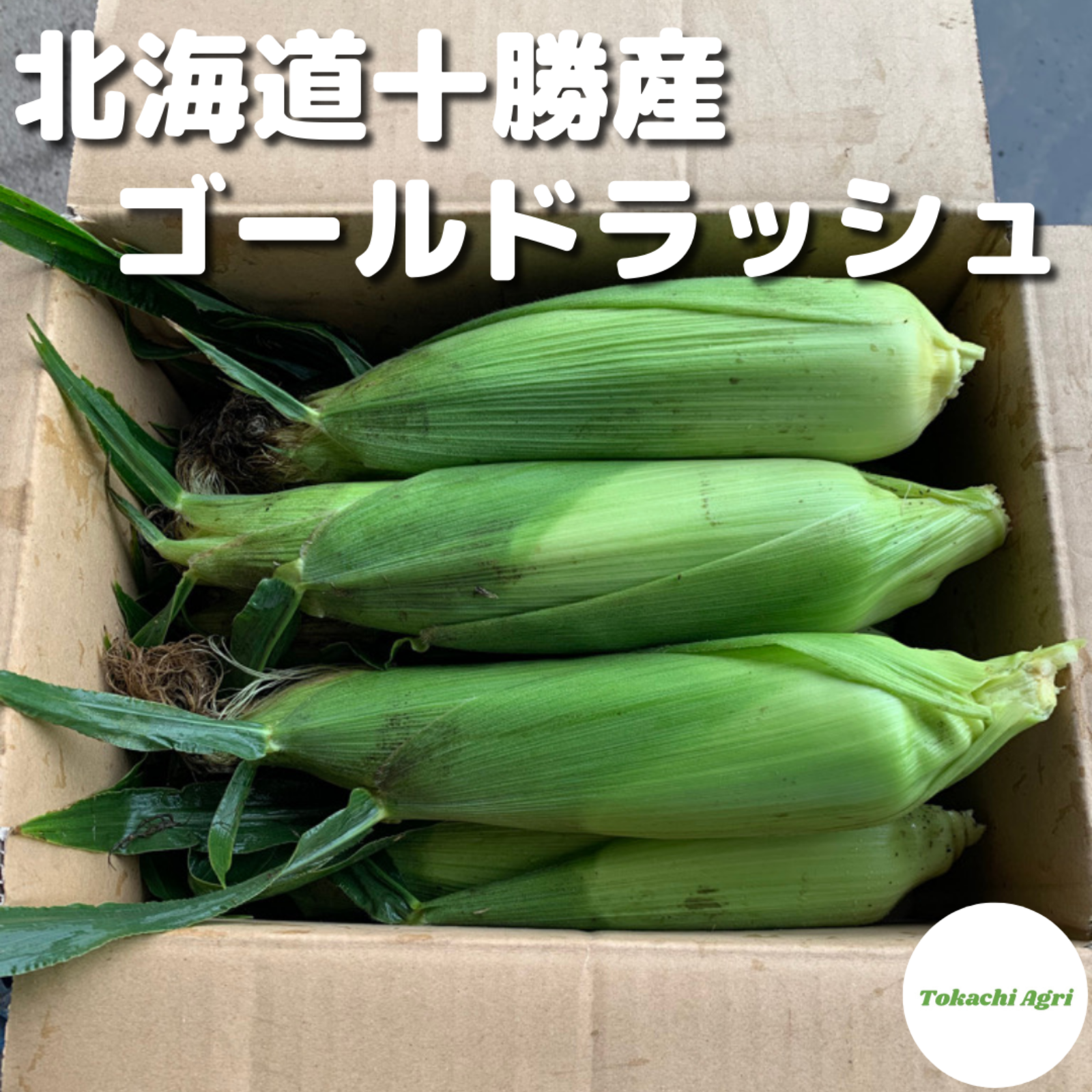 ✨朝採り、即発送✨ 北海道十勝産とうもろこし🌽 【ゴールドラッシュ