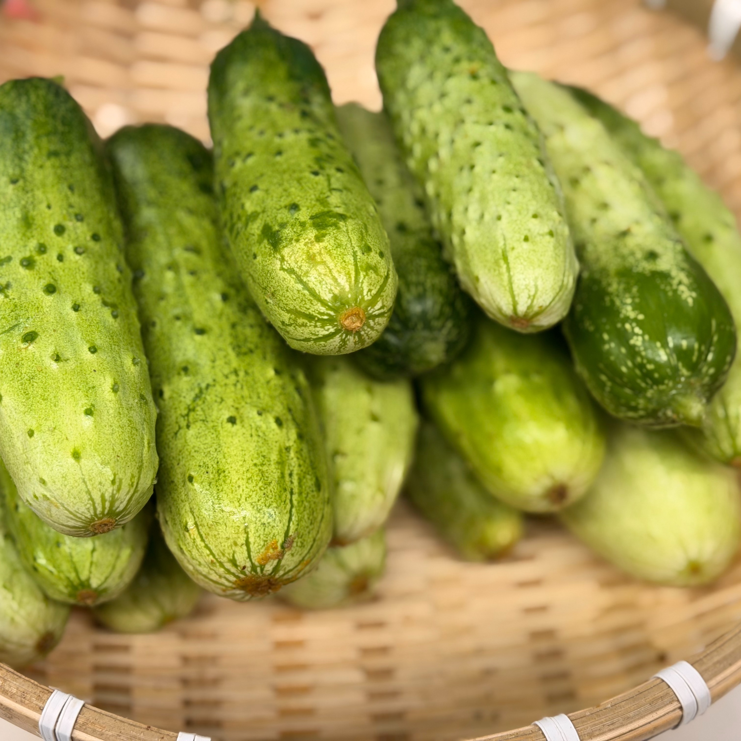 新鮮なきゅうり半白きゅうりフルーツきゅうりわんぱく坊主 10kg 希少品種】わんぱく坊主きゅうり 1kg（6~9本程度） 驚きのパリシャキ食