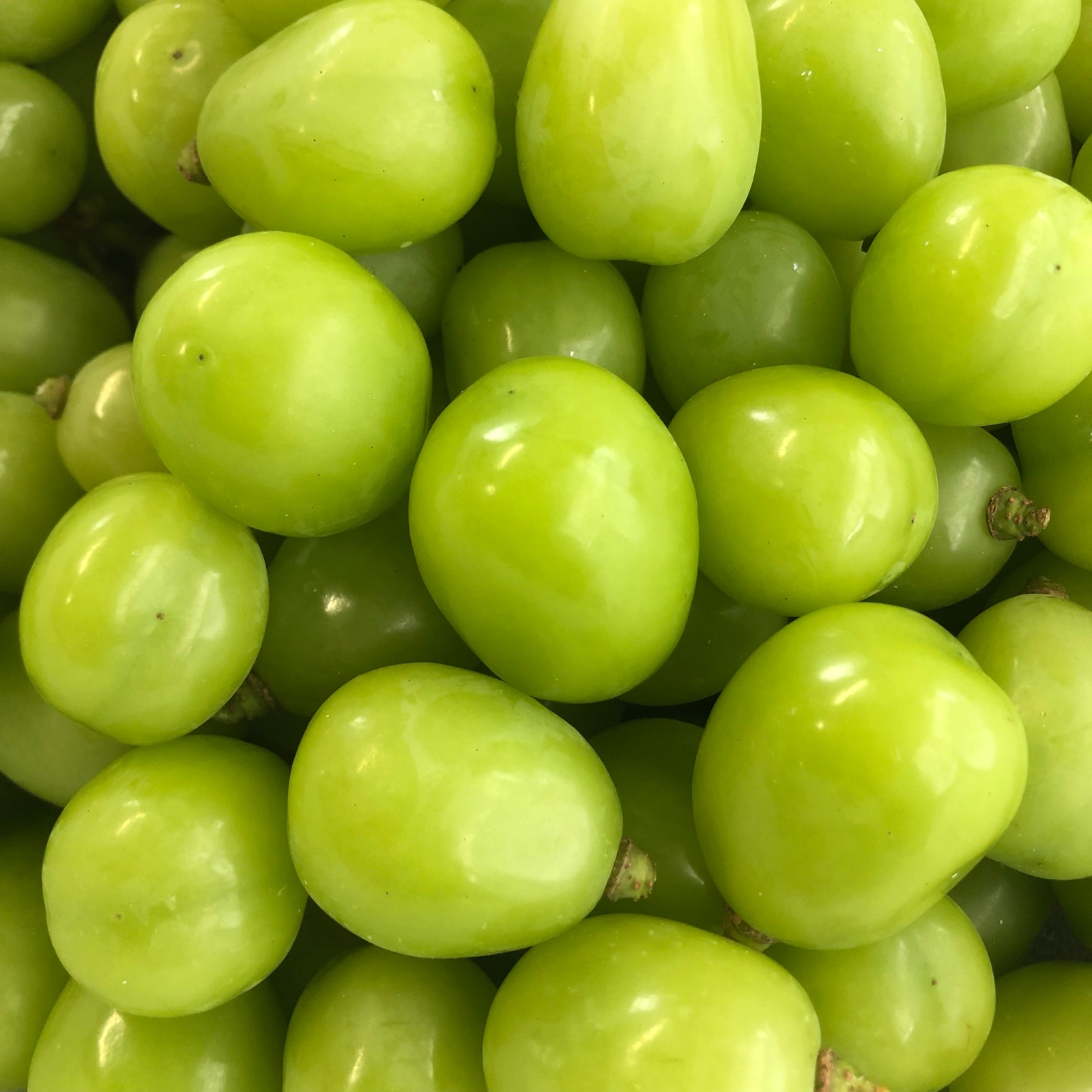 限定3点✨傷あり、小粒のため激安！味や糖度は変わらず甘くて