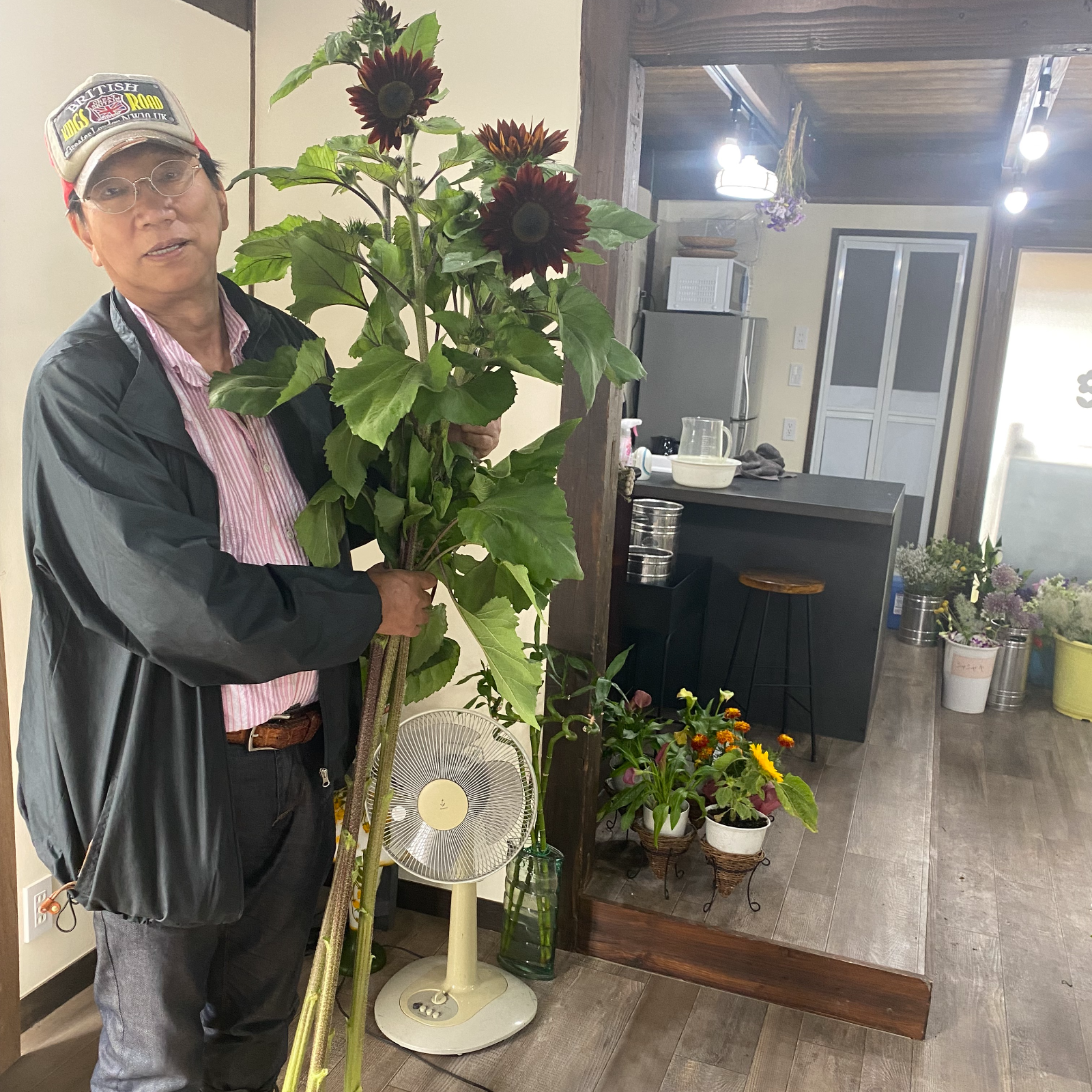 希少「チョコレート色ひまわり」/5本 ｜ 花・植物/花・植物 産直アウル