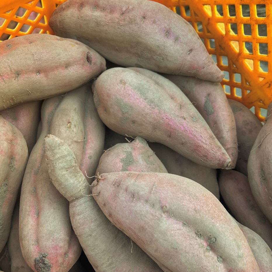 最後【特大サイズ】無農薬さつまいも（安納芋）3kg ｜ 野菜/さつまいも
