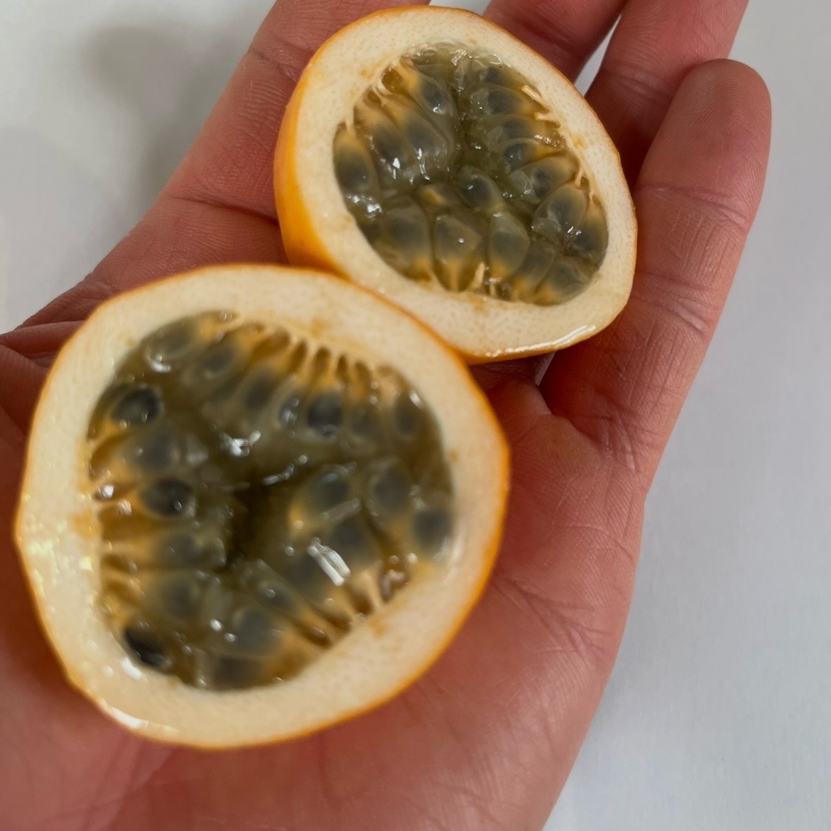 沖縄県産 ミズレモン ｜ 果物/その他果物 産直アウル 農家・漁師など