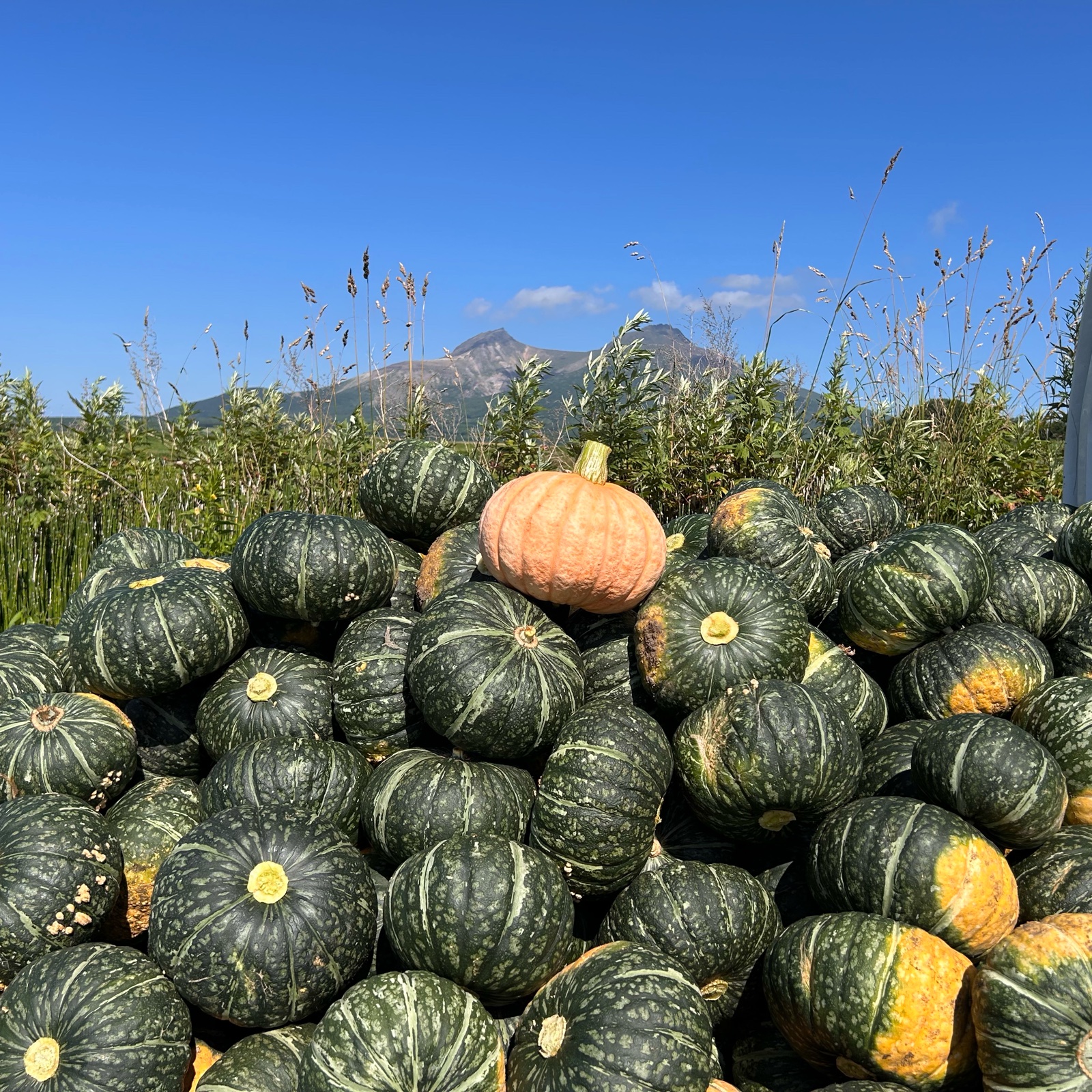 348701885d03063b2cd2065c2ce92e