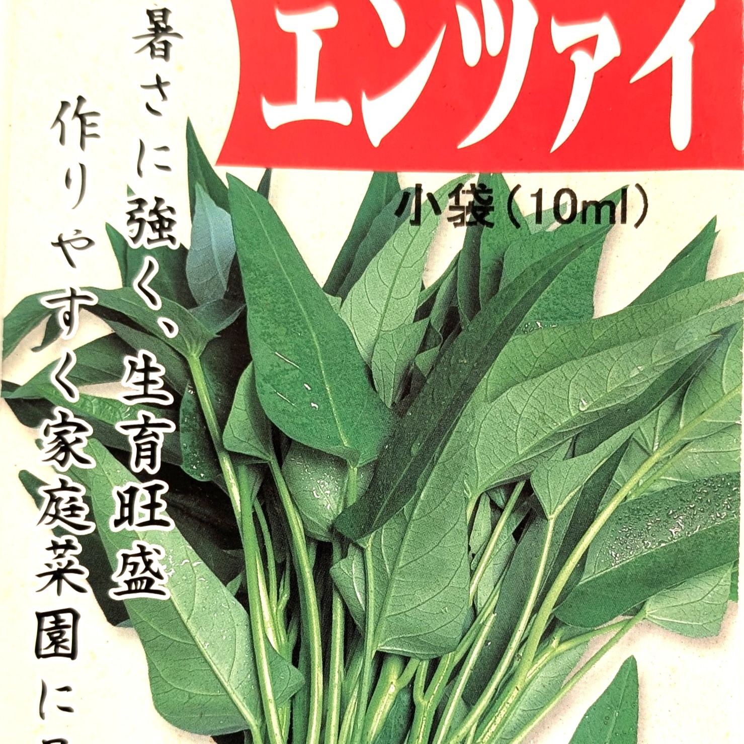 空芯菜（エンツァイ）栽培期間中農薬不使用 ｜ 野菜/葉物 産直アウル