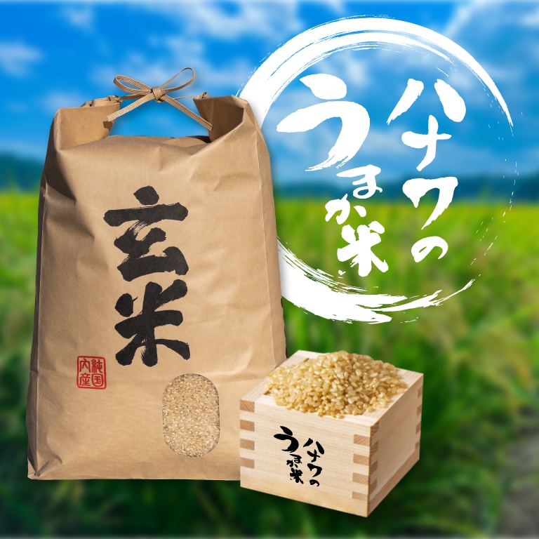 令和8年新米】コシヒカリ 20kg 玄米 豊かな甘みと強い粘りのある 