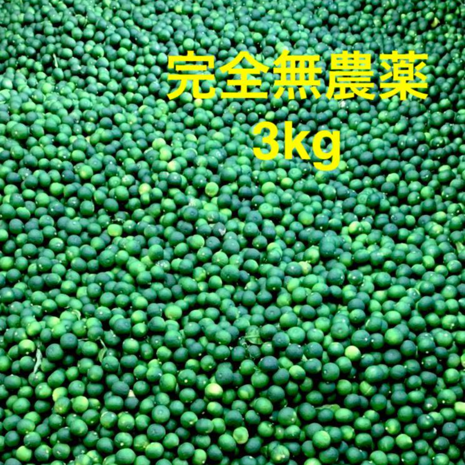 すだち 完全無農薬 3kg | 果物/香酸柑橘(ライム・レモン等) 産直