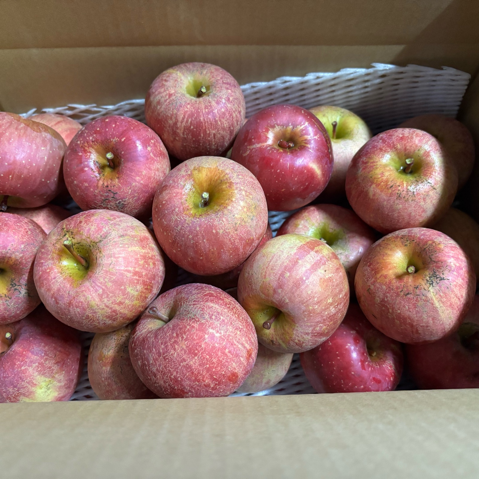 🍎【訳あり】サンふじ：ご家庭用 1箱限定価格 ｜ 果物/りんご 産直