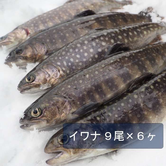岩魚]イワナ9尾入×6箱 (22cmサイズ)冷凍 ｜ 魚介類/川魚 産直アウル