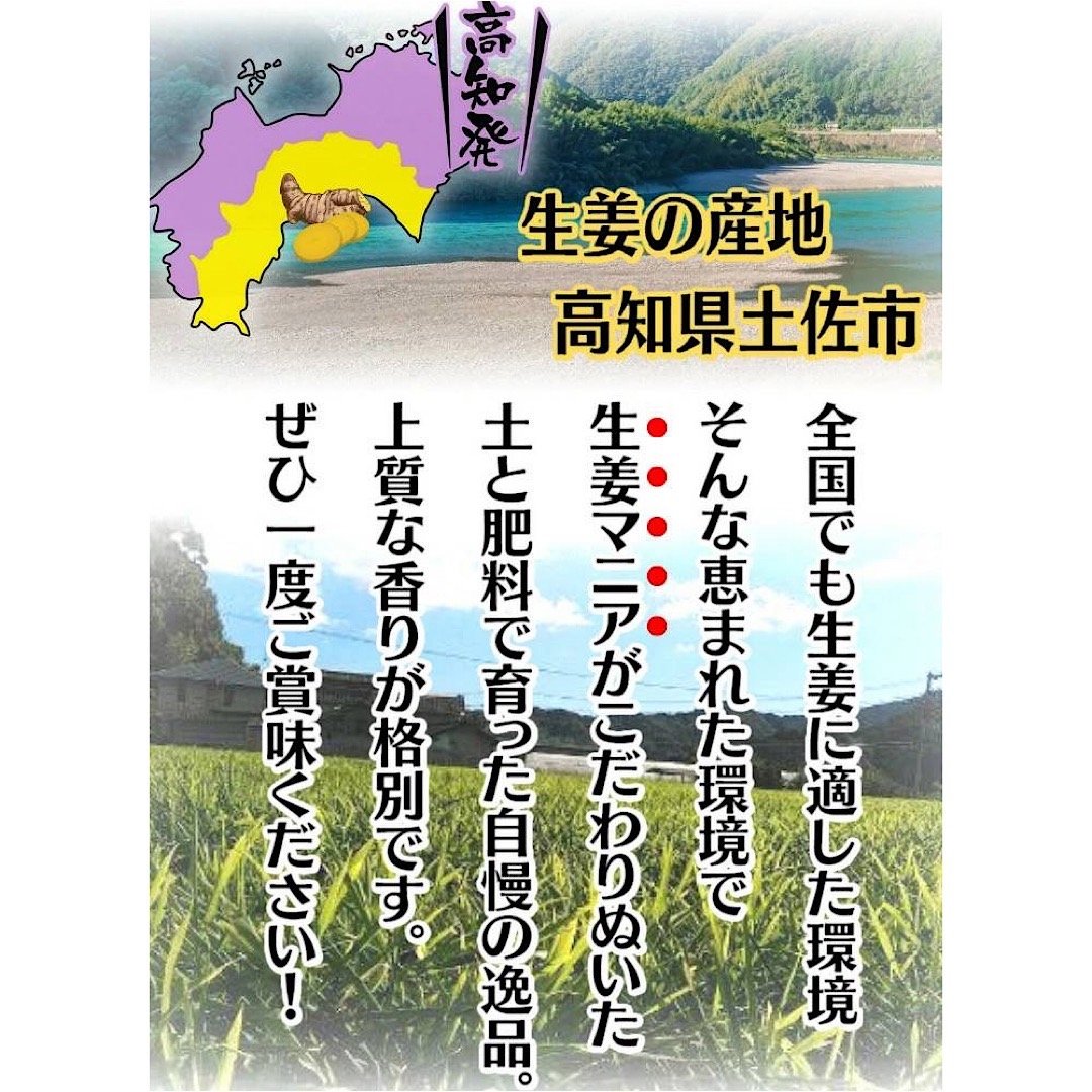 生姜マニアが作る！土佐の大生姜8㎏ 高知県産 ｜ 野菜/薬味 産直アウル