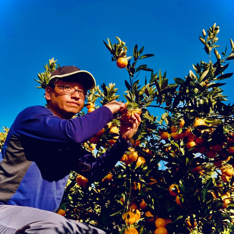 木村農園（和歌山県・紀の川市）｜生産者詳細｜産直アウル