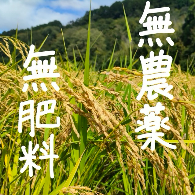 自然農法 滋賀県産コシヒカリ 30キロ 8分つき 山水と豊かな土壌で育て