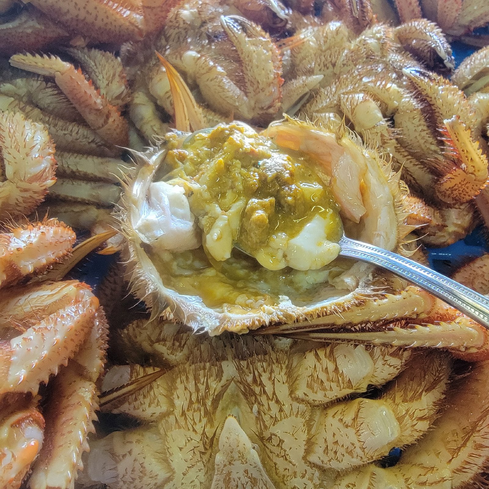 今シーズン初物 三陸産金華山沖 浜茹でボイル冷凍 堅毛蟹 1kg