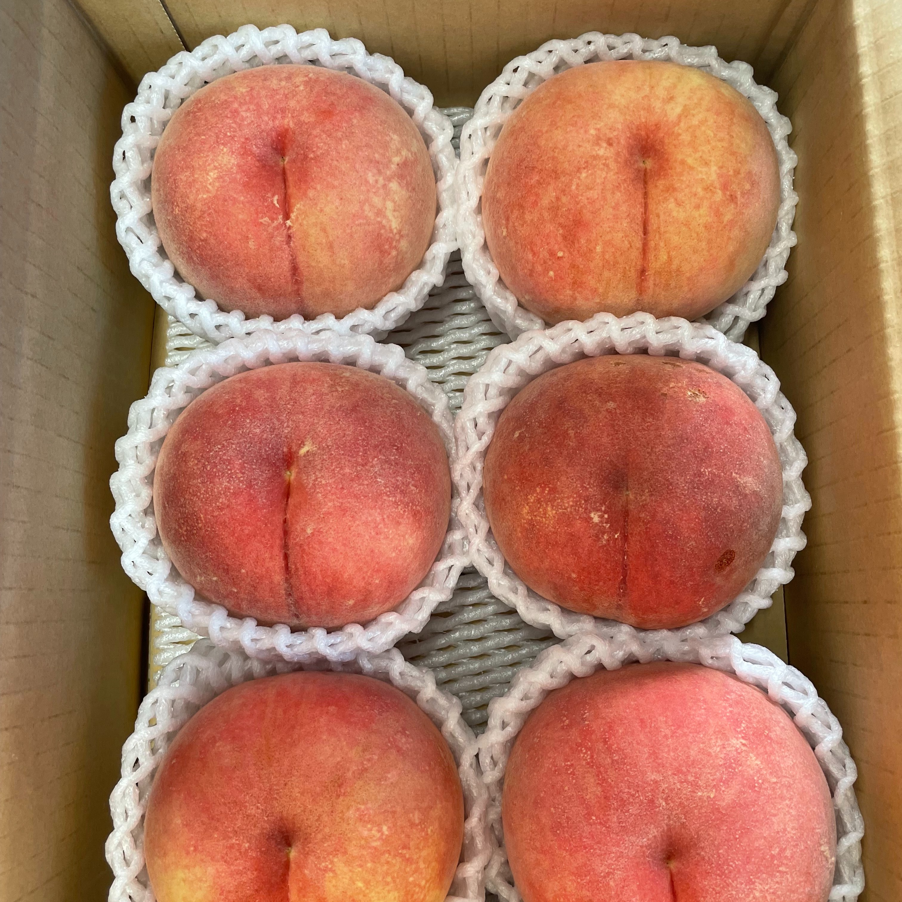 完熟！みずみずしい山形の桃【品種おまかせ】ご家庭用2kg箱（8～9月