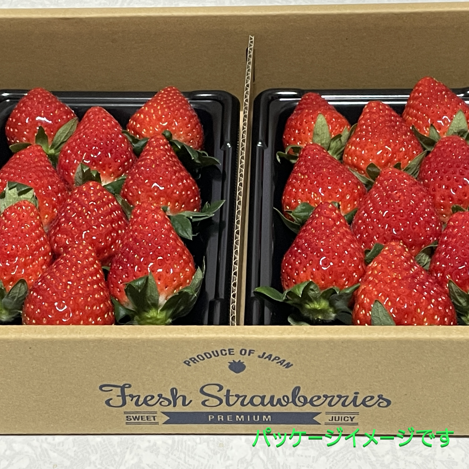 いちご 茨城県産 とちおとめ 6～9粒入2パックセット | 果物/いちご