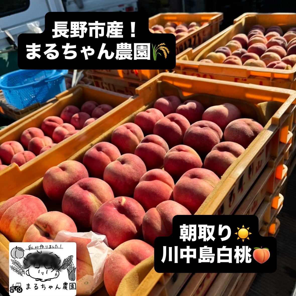 3640616724bba9b1d5b03f6625daf2