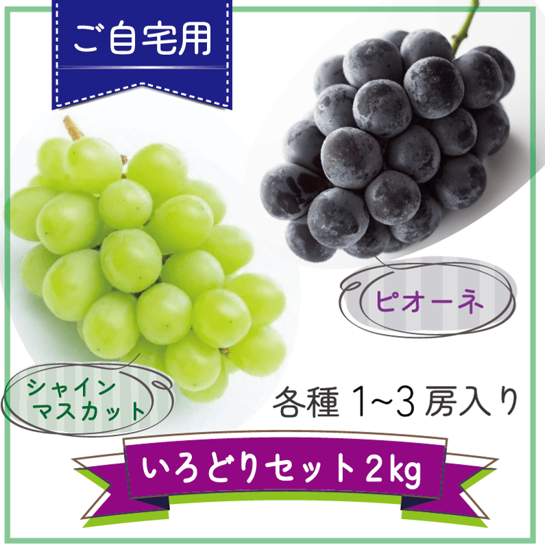 大人気‼岡山県産シャインマスカット＆ピオーネ いろどりセット2kg