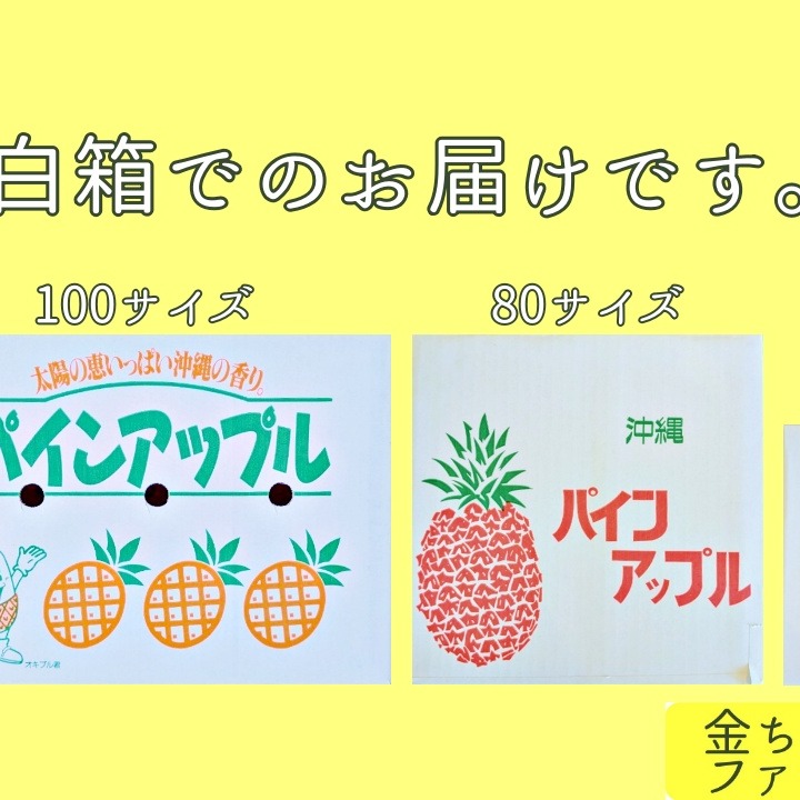 kozoゴールドバレル2玉‼️クール便込 kozoゴールドバレル2玉‼️クール便込