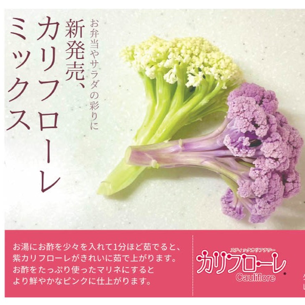 約2キロ新顔野菜 カリフローレミックス | 野菜/ブロッコリー 産直