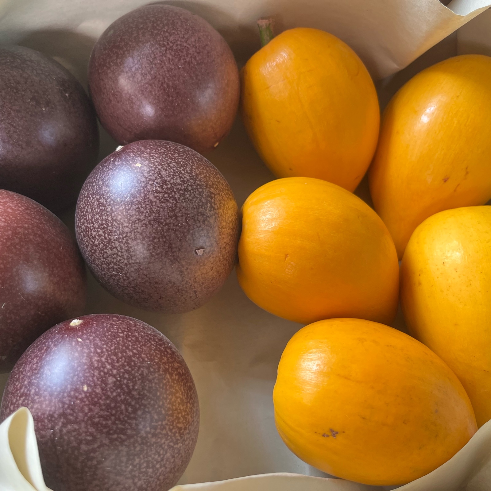 沖縄県産 パッションフルーツ500g/カニステル500g ｜ 果物/その他果物