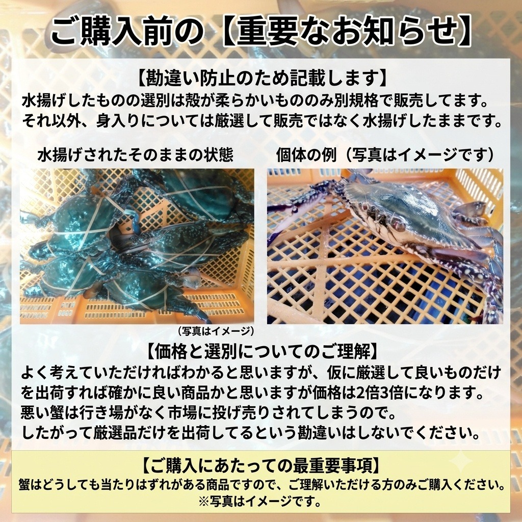 15％OFF設定中】冷凍ガザミ オス特大サイズ 3kg約7杯ガザミ 渡り蟹