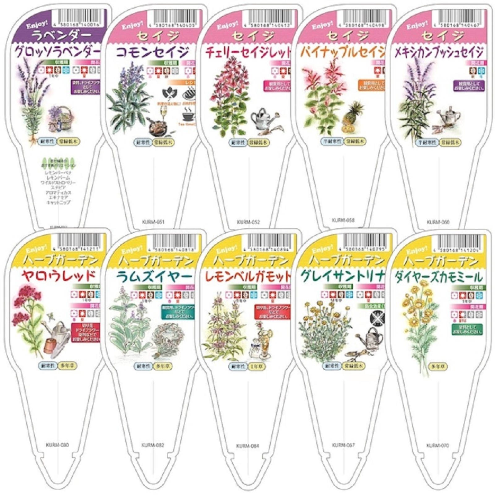 ハーブ苗おまかせ9種セット(鑑賞用) | その他/花・植物 産直アウル(OWL)農家から直接野菜などの食材を購入できる産地直送の宅配通販サイト ハーブ苗おまかせ9種セット(鑑賞用) | その他/花・植物 産直アウル(OWL)農家から直接野菜などの食材を購入できる産地直送の宅配通販サイト