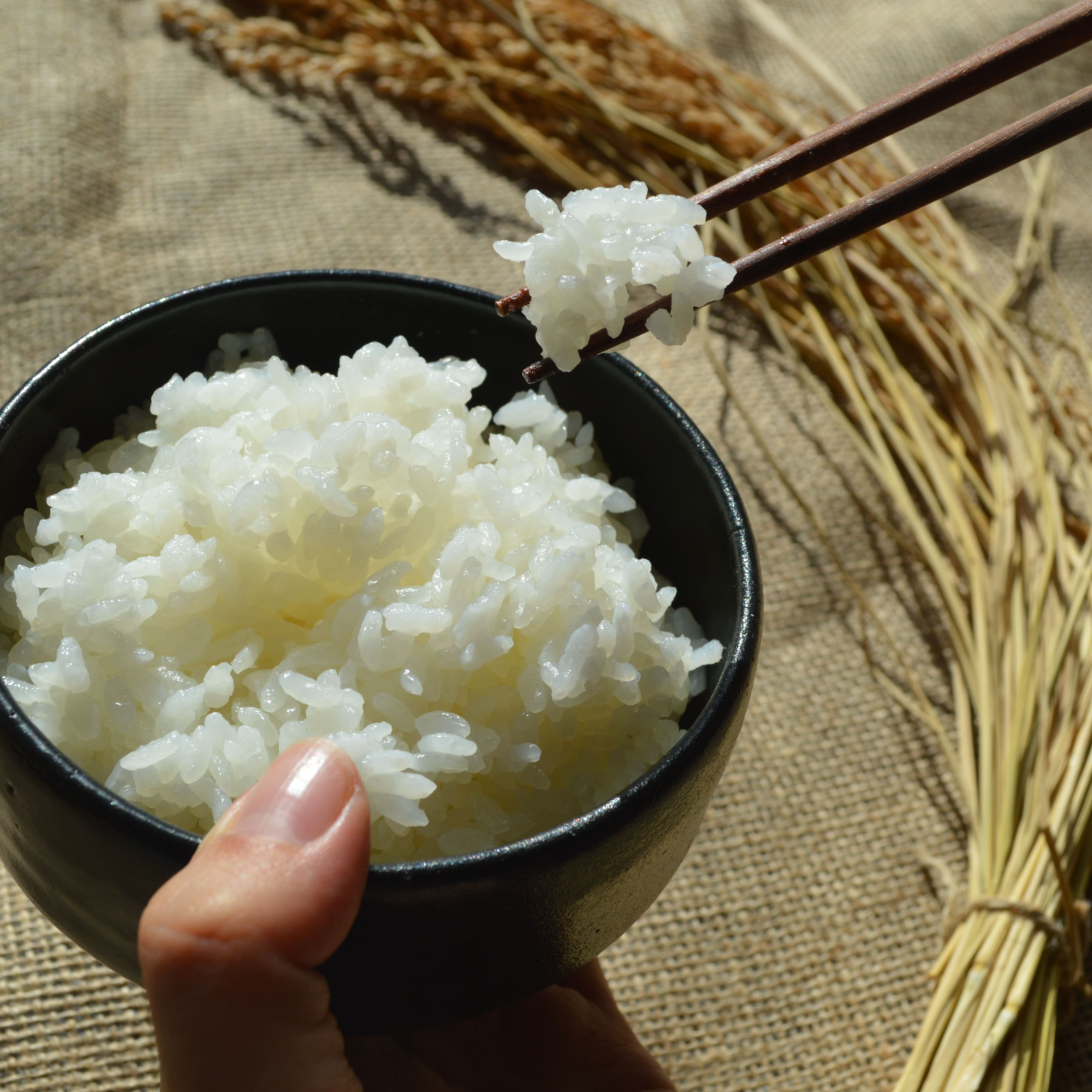 10名限定】完全無農薬・無肥料