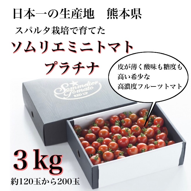 【極み】希少な高濃度フルーツトマト　ソムリエミニトマト　プラチナ３kg（１２０玉～２００玉） 母の日【極み】④希少な高濃度フルーツトマト ソムリエミニ